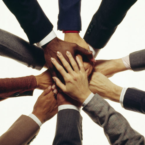 Mastermind Community | $75/Month "Marketing Amnesty" Special